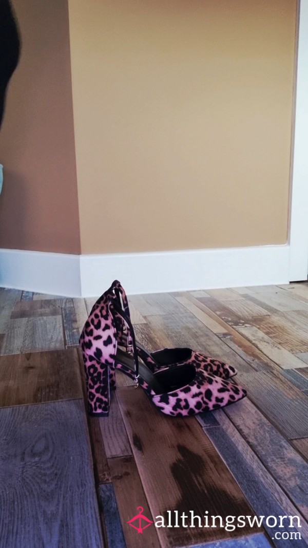 Leopard Print Fun Video 🌹