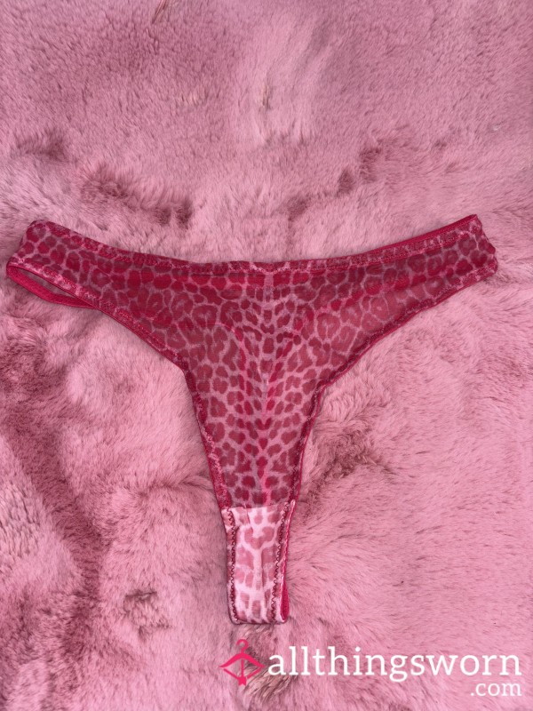 Leopard Print Pink Sheer Mesh Thong / Panties