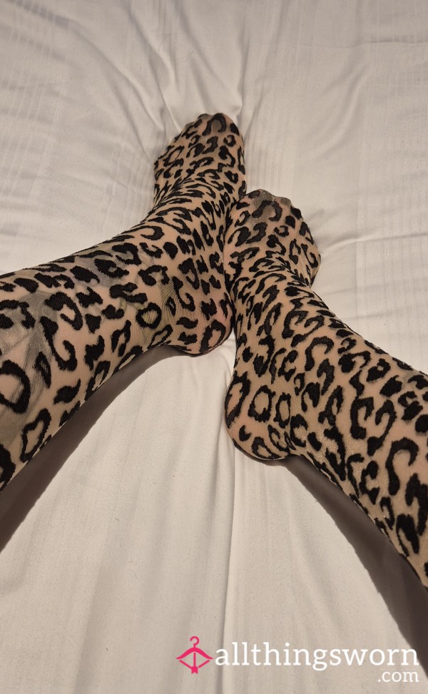 Leopard Print Stockings