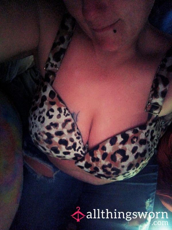Leopard Print Used Bra