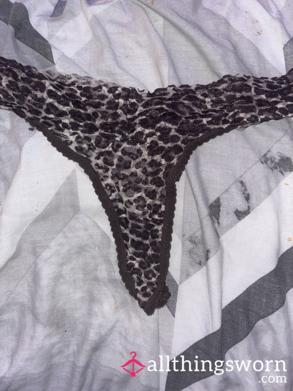 Leopard Print Used Thong 24 Hour Standard Wear