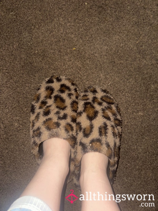 Lesbian Shared Leopard Slippers 🐆