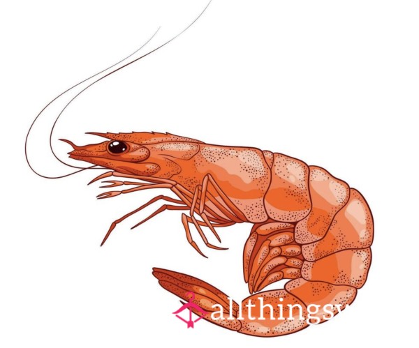 Let Me Rate Your Shrimp🙄