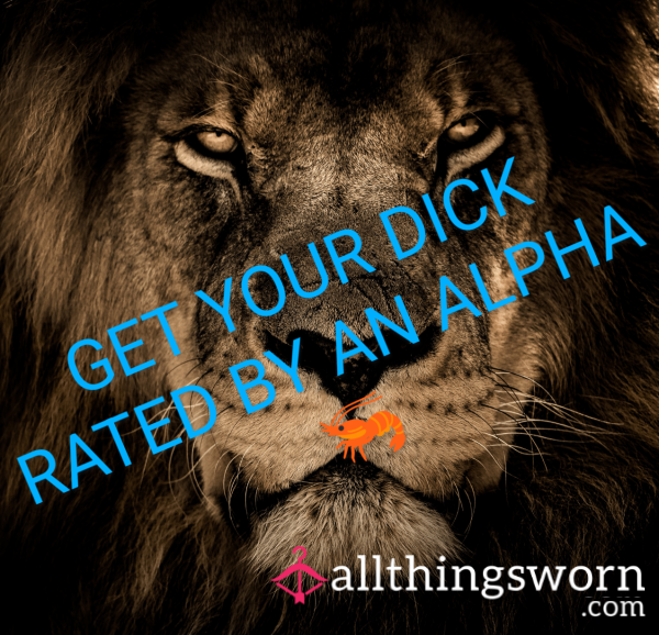Let My Mr Rate Your C*ck 🦐