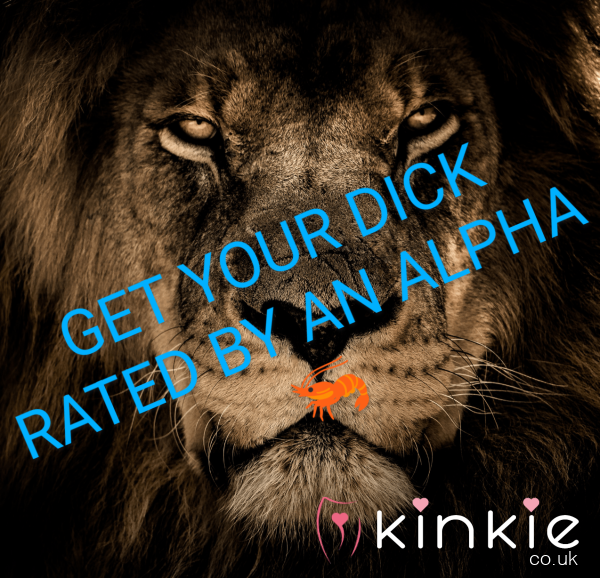 Let My Husband Rate Your D*ck 🦐