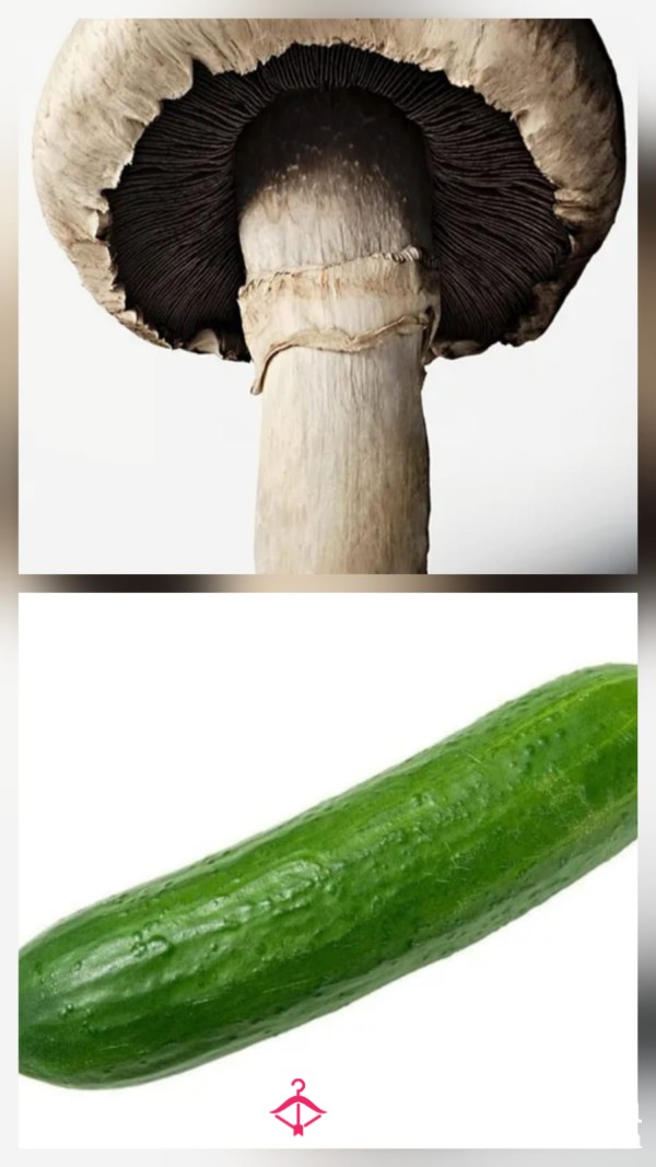 Let US Be The Judge...
