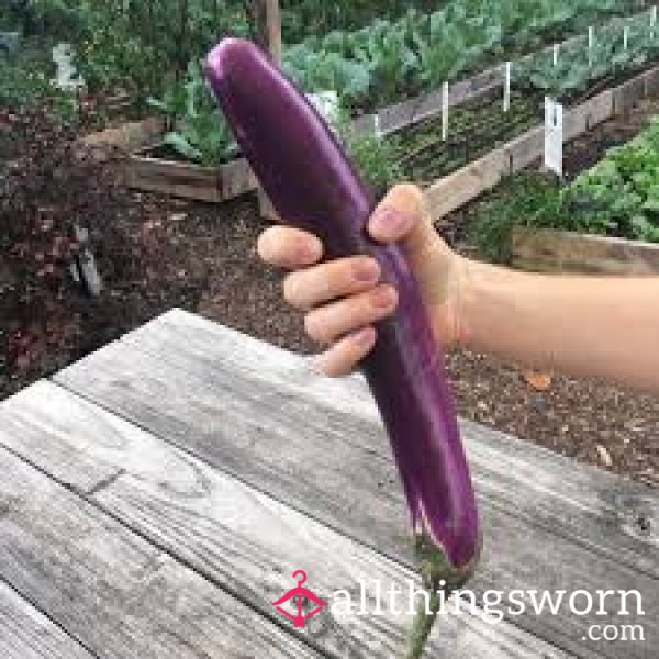 Let’s See What You’ve Got 🍆