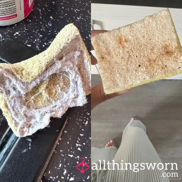 Let’s Sponge You Down!
