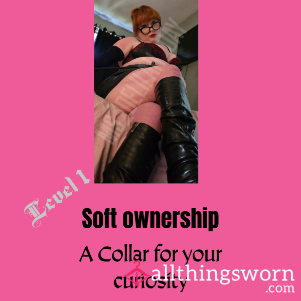 LEVEL ONE💜 SOFT OWNERSHIP💋one Week💜
