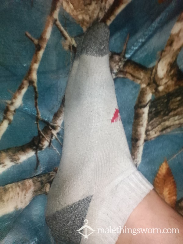 Levis No Show Socks
