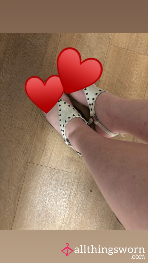 Lick My Shoes
