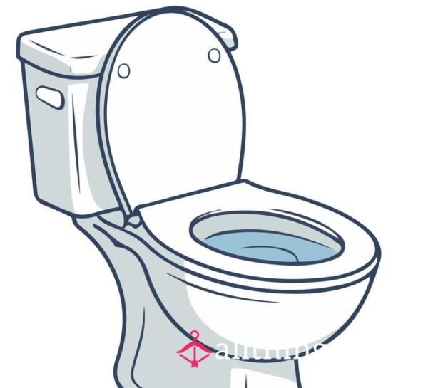 Lifetime Toilet Drive