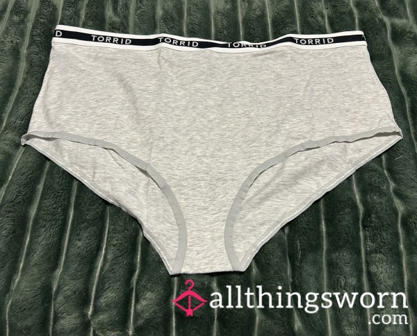 ~LIGHT GREY BRIEF COTTON PANTIES~