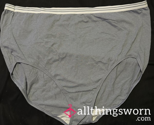 Light Grey Full Coverage Panties