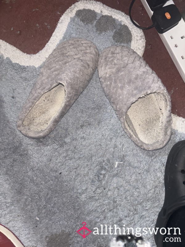 Lilac Well Worn Potent Slippers