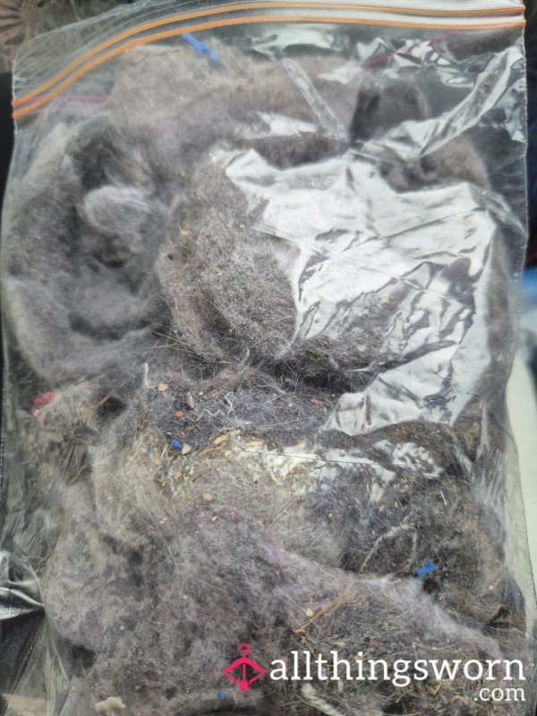 Lint