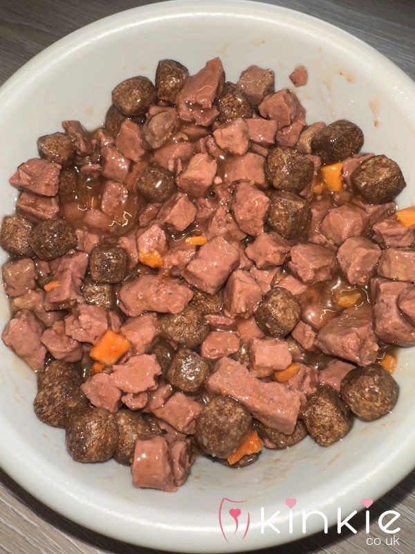 Literal Dogs Dinner🐶