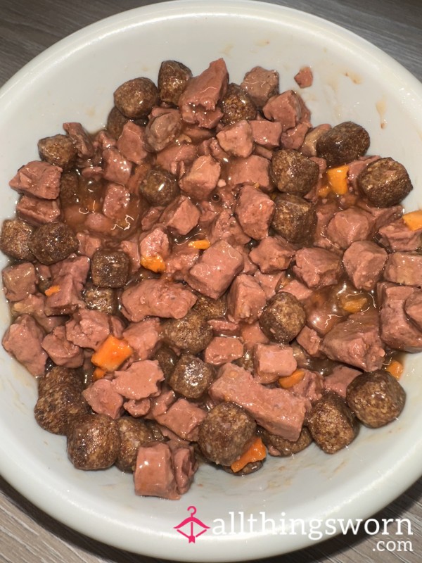 Literal Dogs Dinner🐶