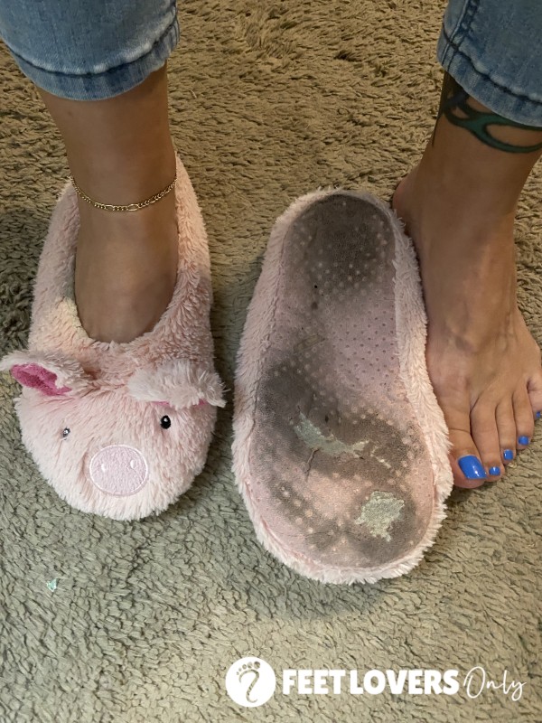 Little Piggie Slippers