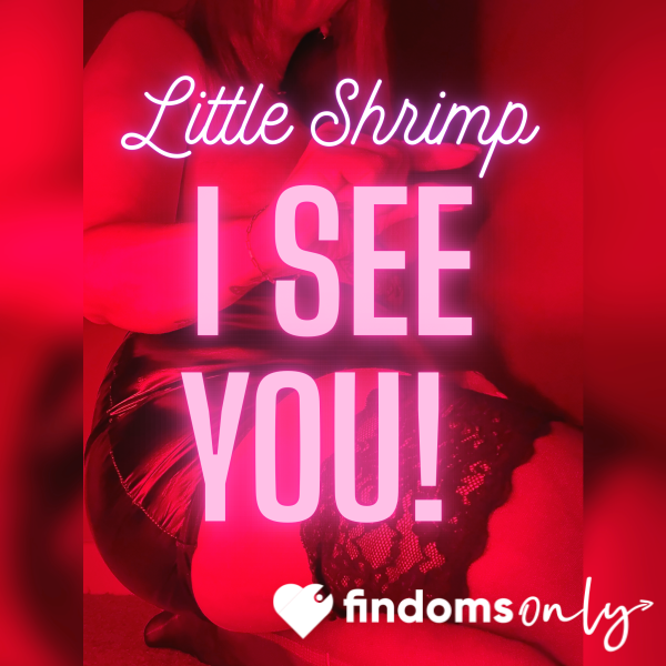 Little Shrimp! You’ve Been Caught!! Naughty Naughty 😈 1:55 Audio 🍤🍤🍤 Caught D*ckless Simping On My Profile!