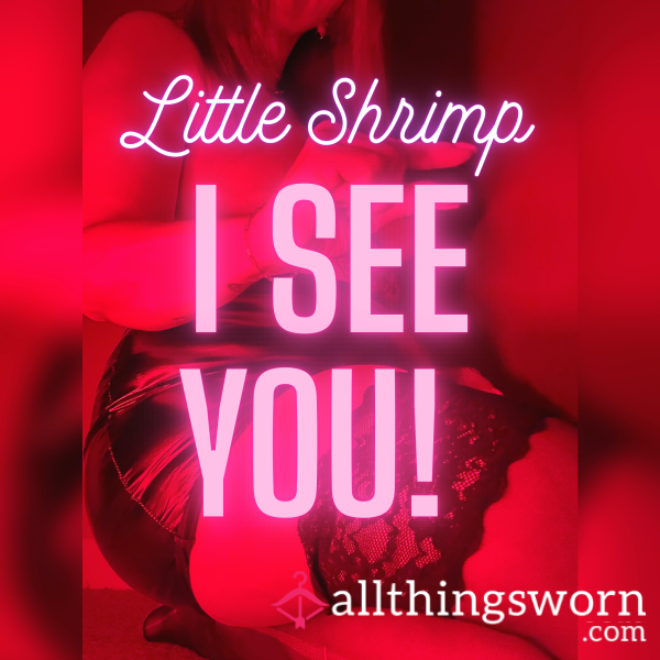 Little Shrimp! You’ve Been Caught!! Naughty Naughty 😈 1:55 Audio 🍤🍤🍤