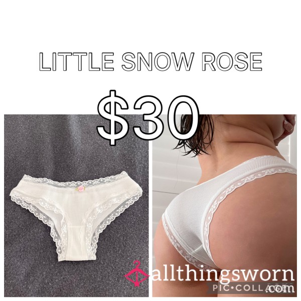 LITTLE SNOW ROSE