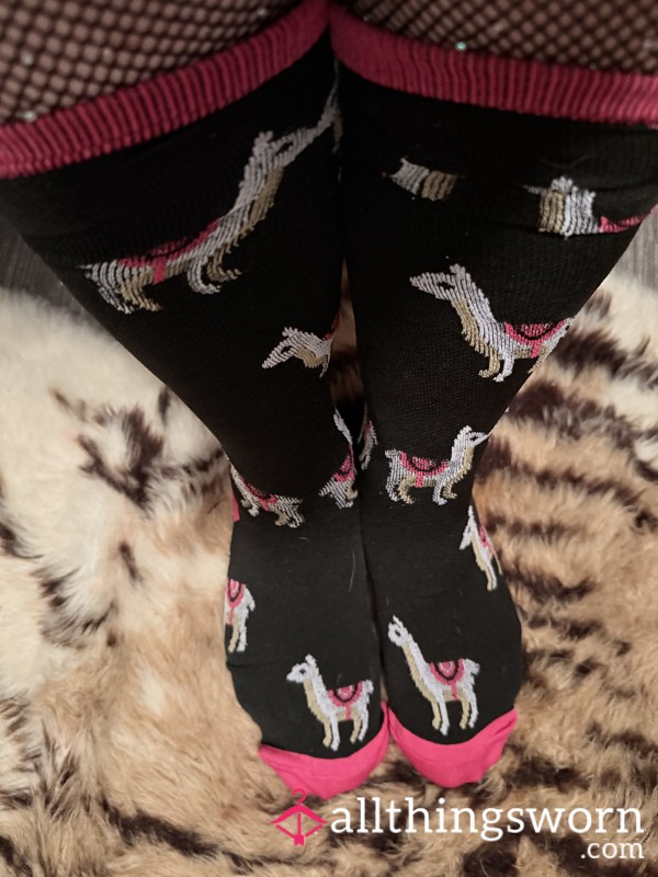 Llama Drama Compression Socks