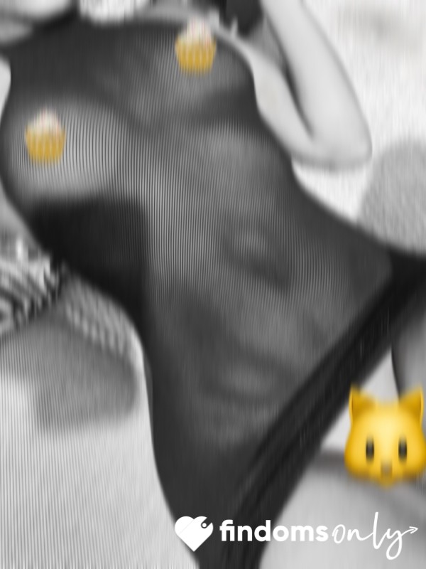 🐱 Loading