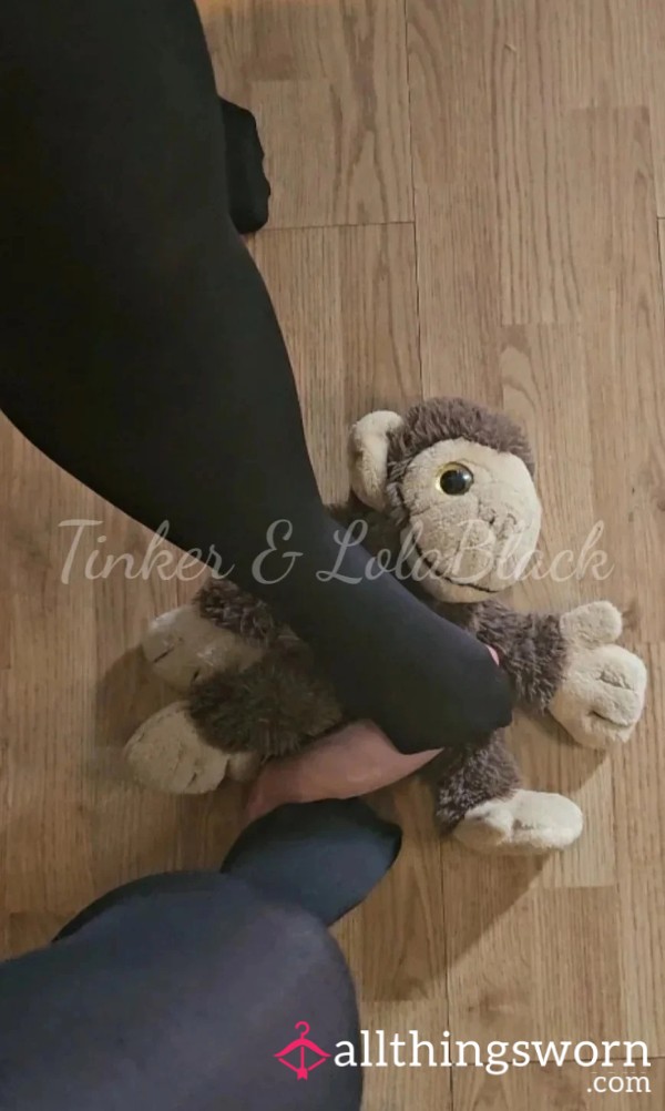 Lola & Tinker Trampling