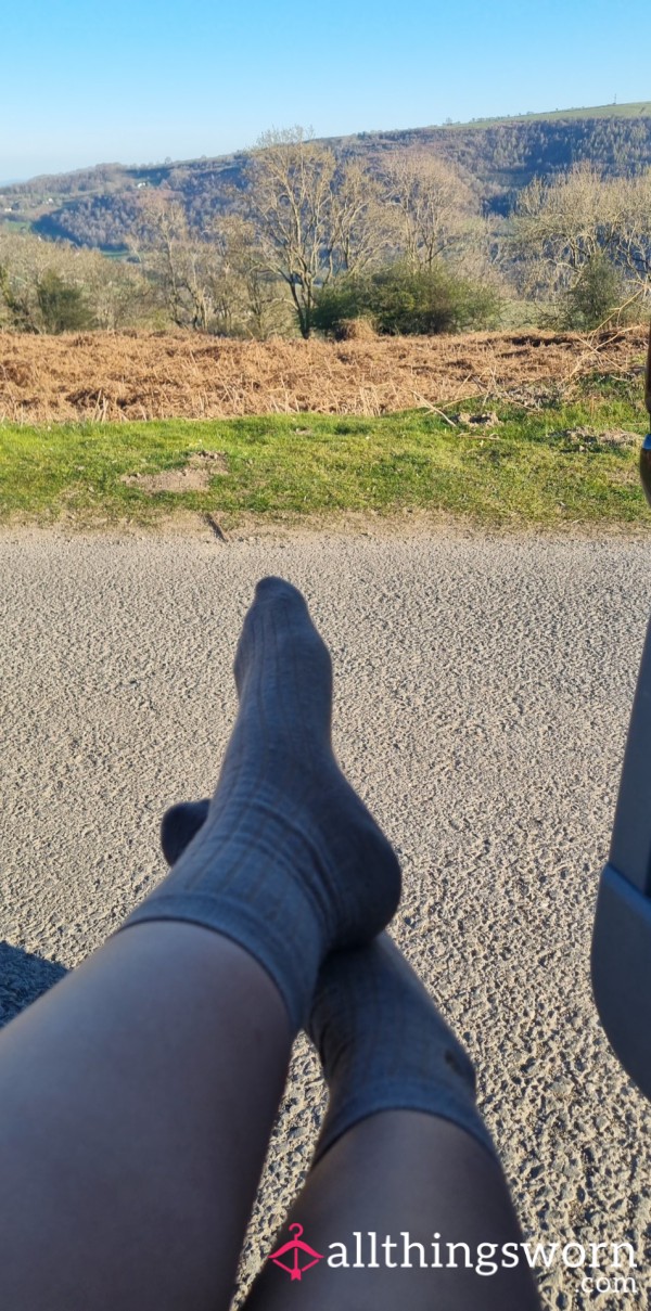 Long Hike Sweaty Teddy Bear Socks
