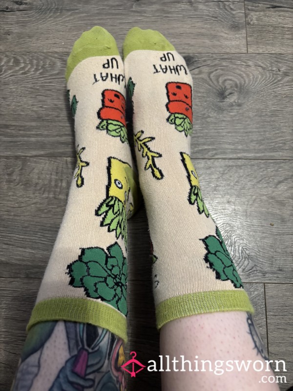 Long Pun Cactus/Plant Socks