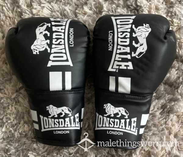 Longdale Boxing Gloves