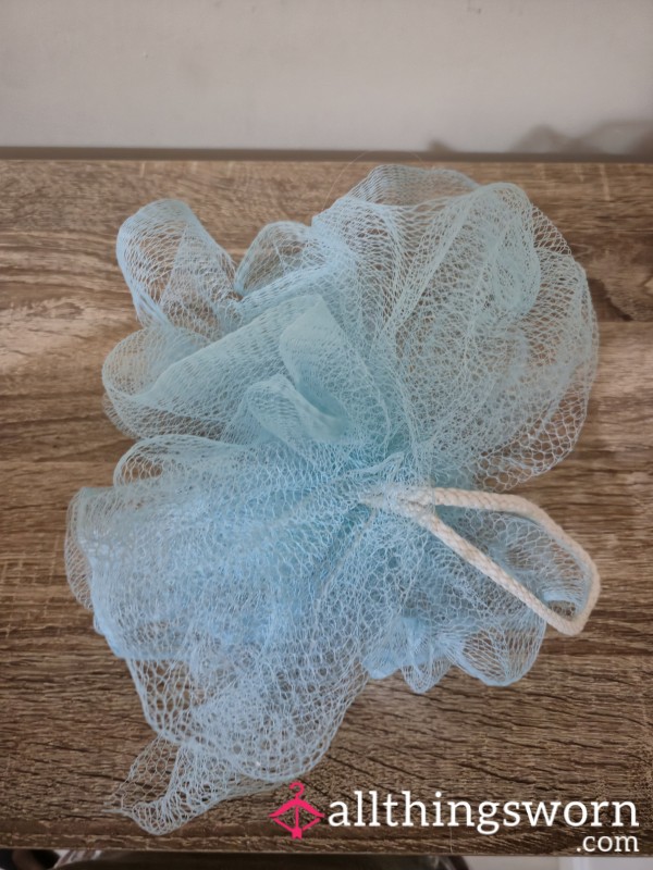 Loofah Style Sponge