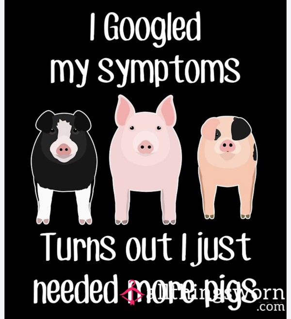Looking For A Pig
