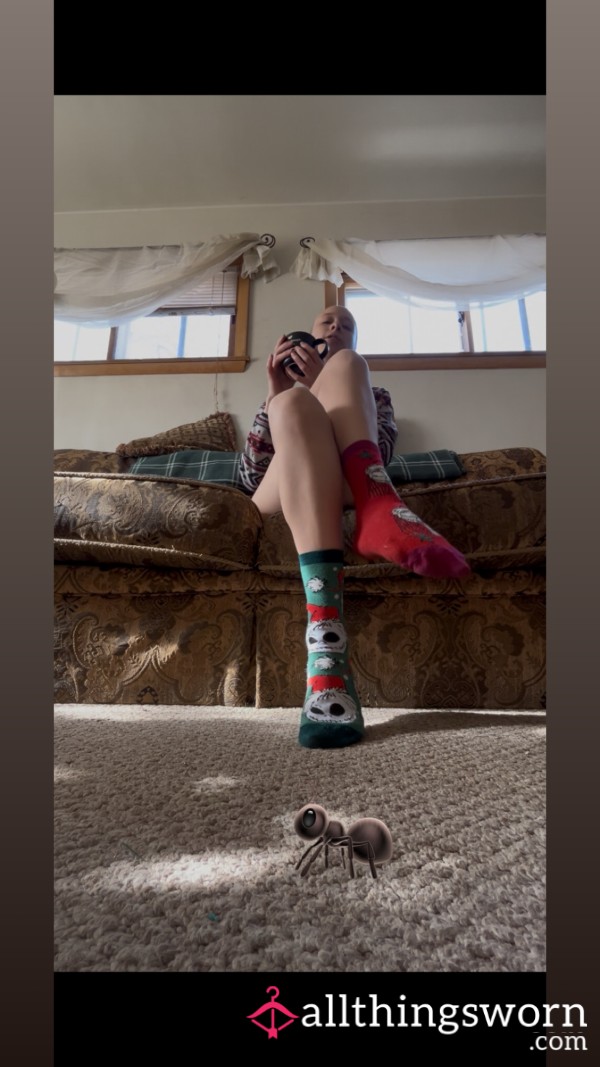 Tiny Lost Pest Disturbs My Morning ☕️ 🐜*roleplay*footdom*giantess*micro*tiny*ant Roleplay*stepping