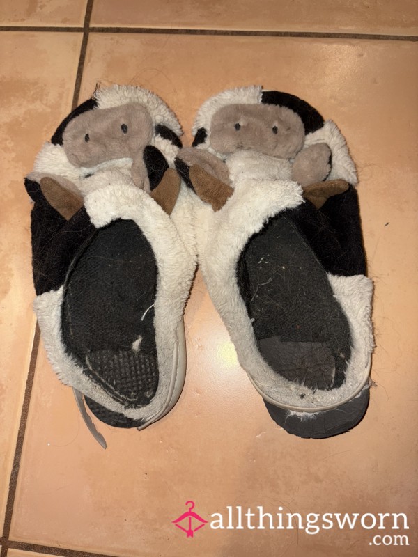 Loved Cow Slippers