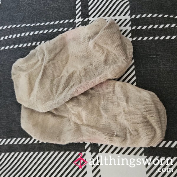 Lovely Warm Day At Work