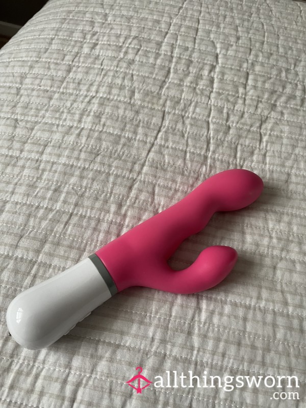 Lovsense Well Used Toy