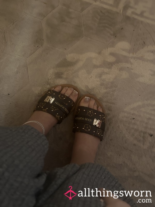 LV Slides