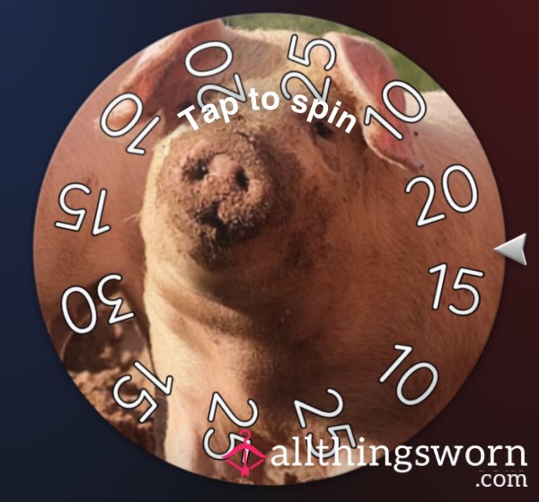 LVL 2 Spin The Wheel Piggy 🐷🐷