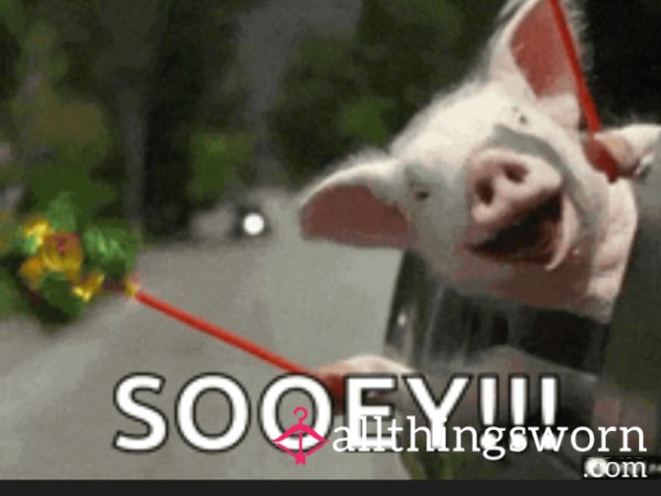 Make Pig Sounds For Mommy To Rate