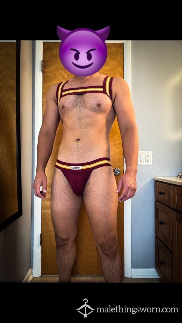 Maroon & Gold Coyote Briefs & Harness
