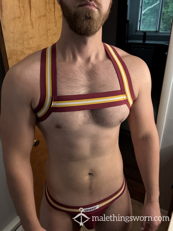Maroon & Gold Coyote Briefs & Harness
