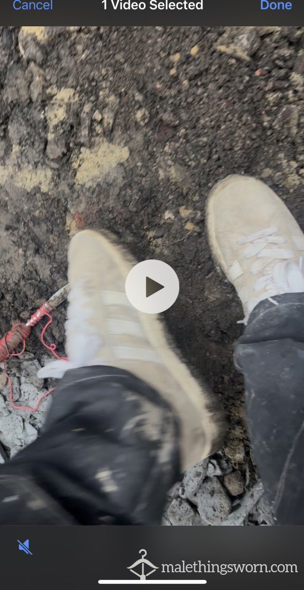 Me Working Hard All Day In My Adidas Trainers
