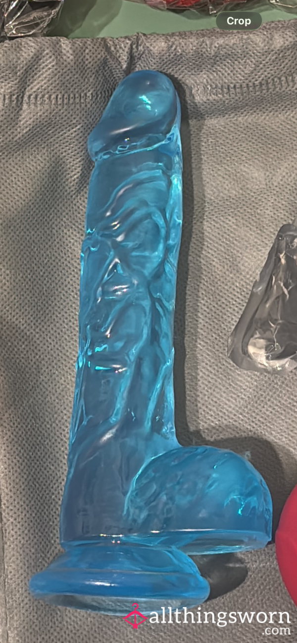 Meet Mr Blue Used Inside All My Holes