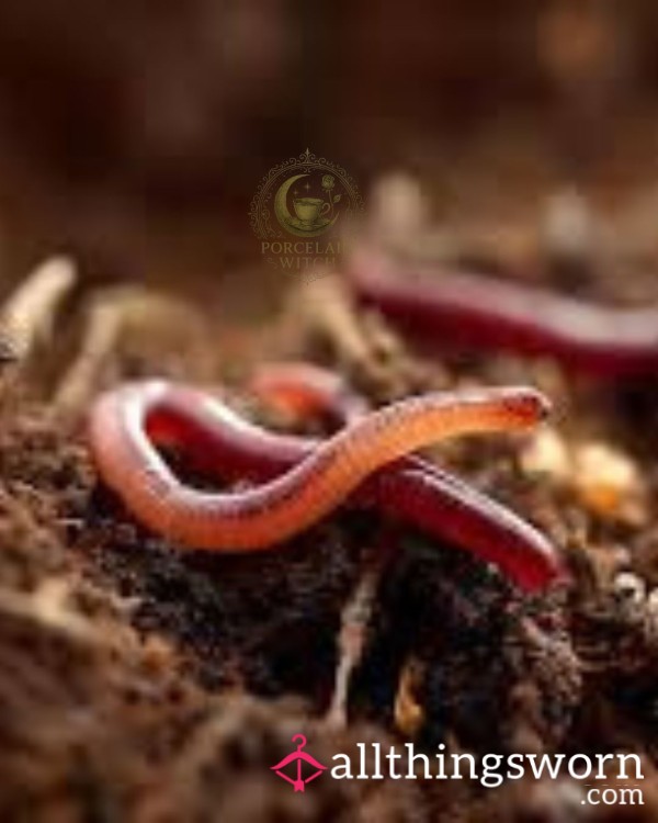 Men Are Worms