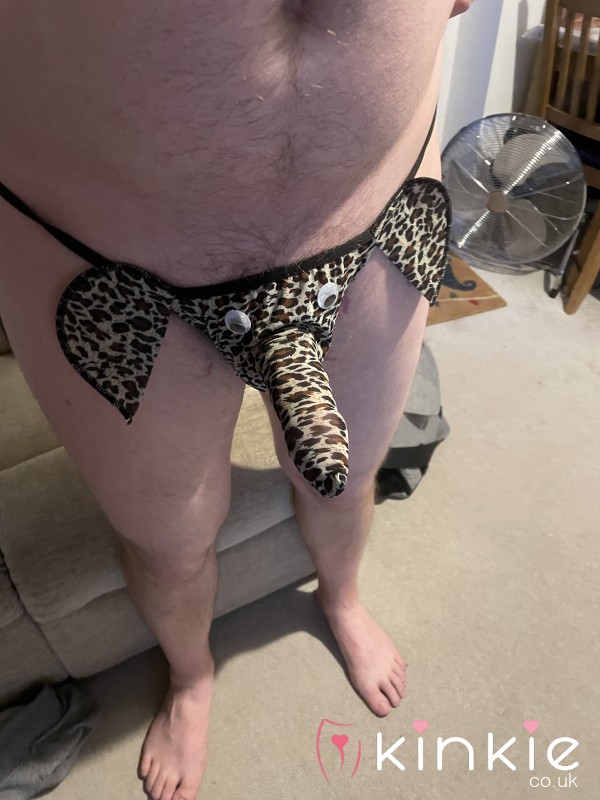 Men’s Animal Thong 👨💙