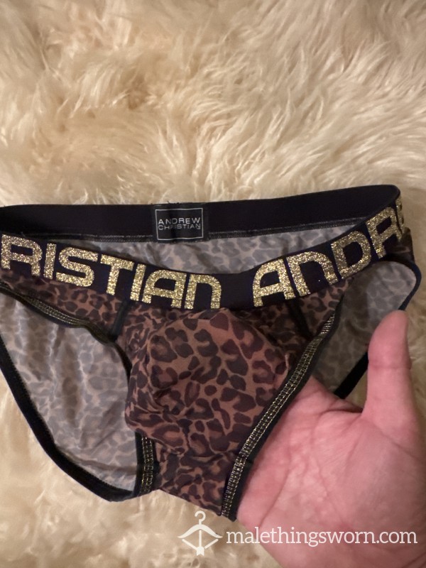 Men’s Mesh And Christian, Leopard And Black Brief