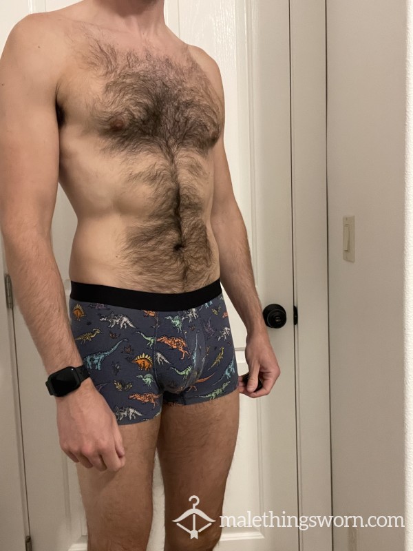 Men’s MeUndies Dinosaur Print Trunks