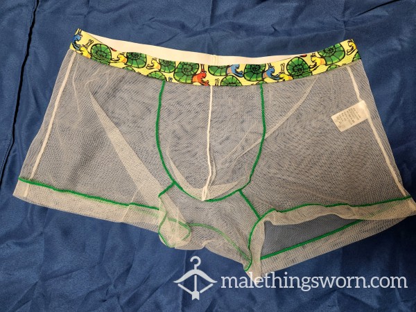 Men's S**y Mesh Trunks, US Large